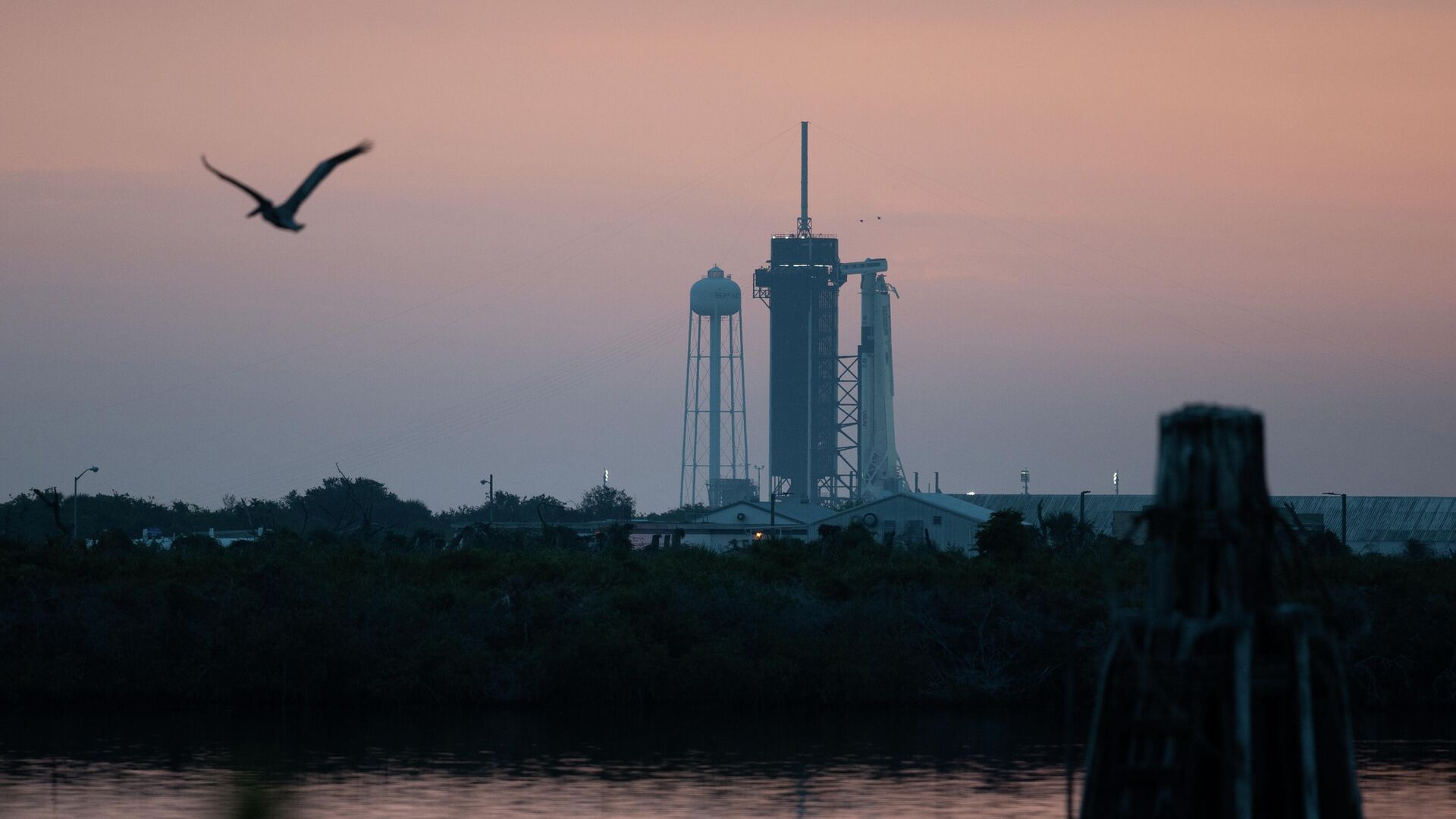 Американский космический корабль Crew Dragon установлен на стартовой площадке стартового комплекса 39A на острове Уилсона во Флориде