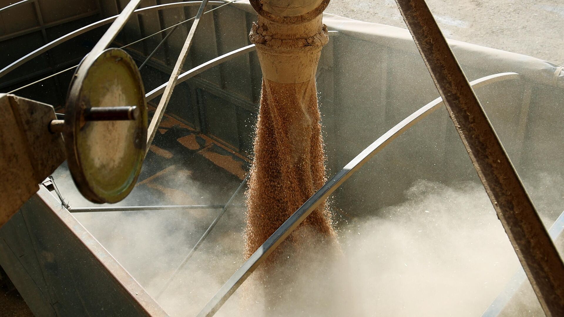 Погрузка зерна в грузовик