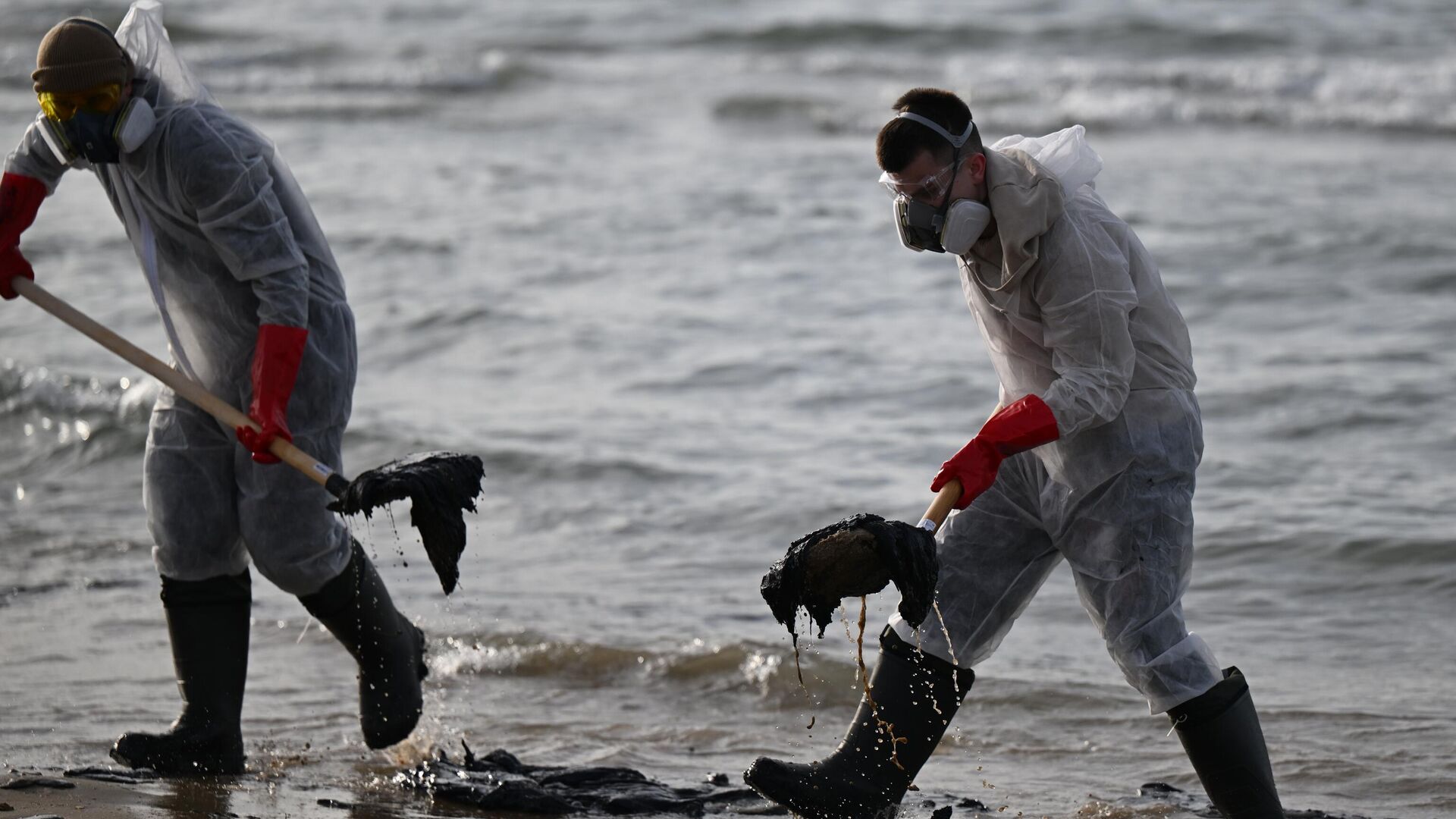 Волонтеры собирают мазут