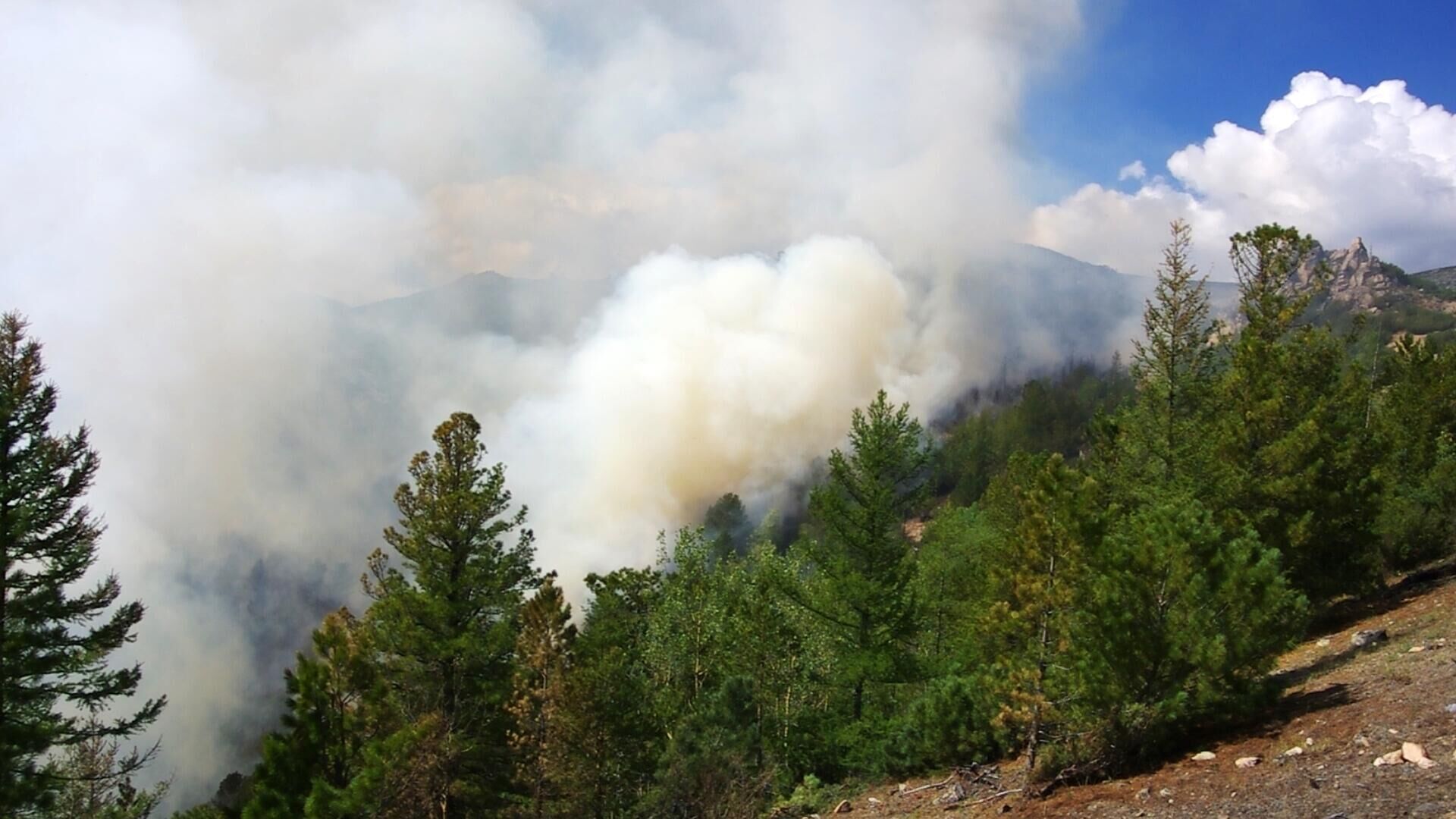 Лесные пожары в Республике Бурятия
