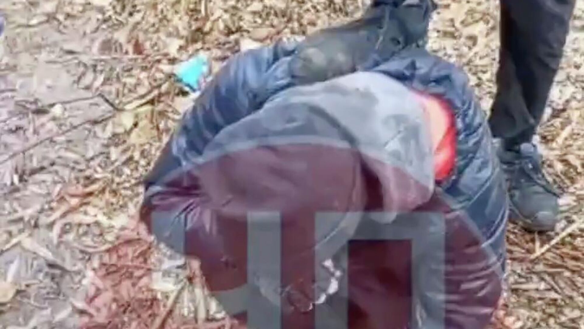 Кадр видео избиения мальчика в Перми