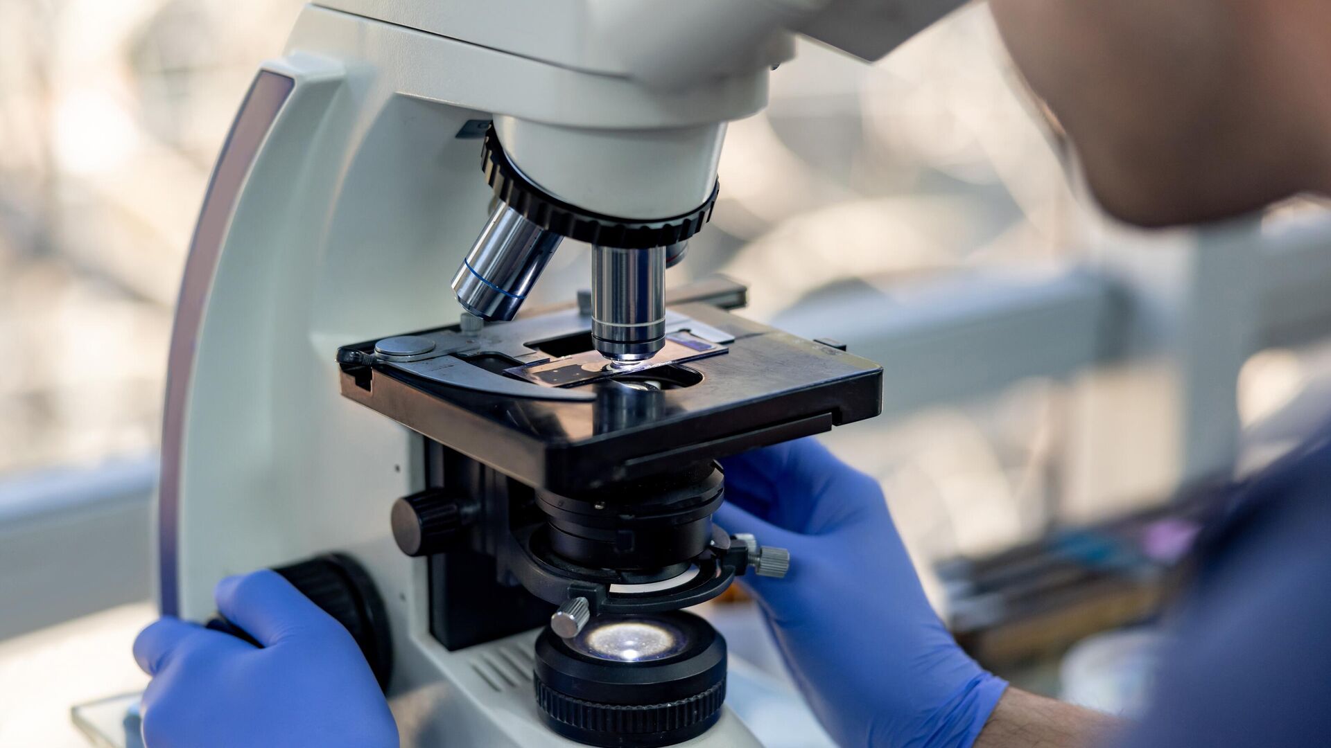 Исследования в лаборатории