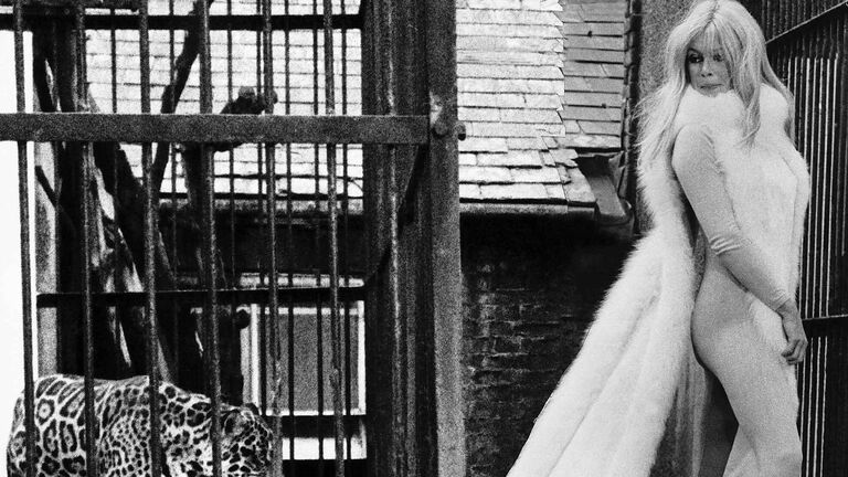 Французская актриса Брижит Бардо