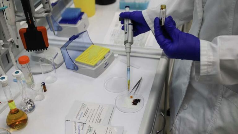 Процесс нанесения раствора повидон-йода на биомембрану для последующего переноса на раневую поверхность