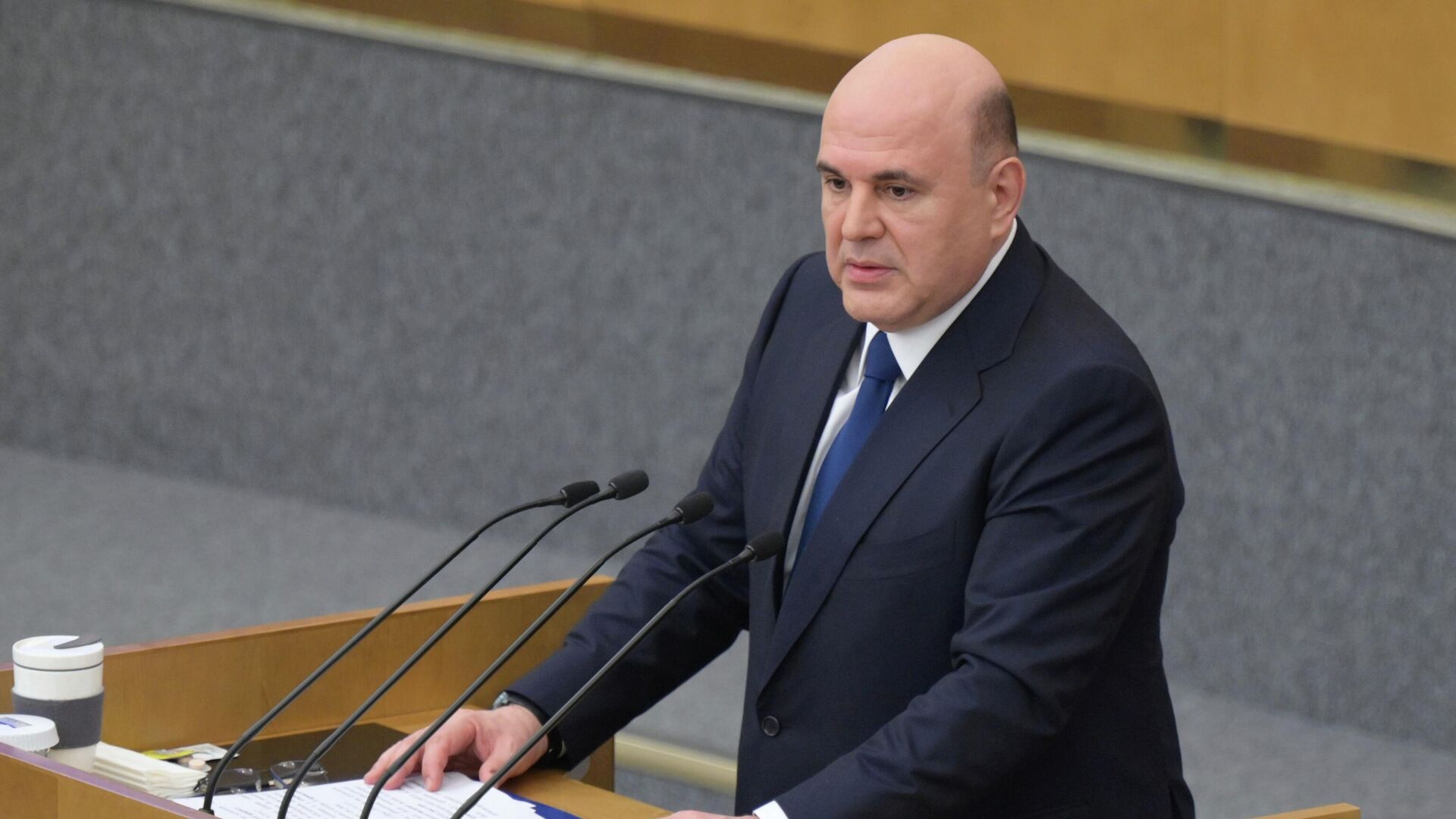 Председатель правительства РФ Михаил Мишустин