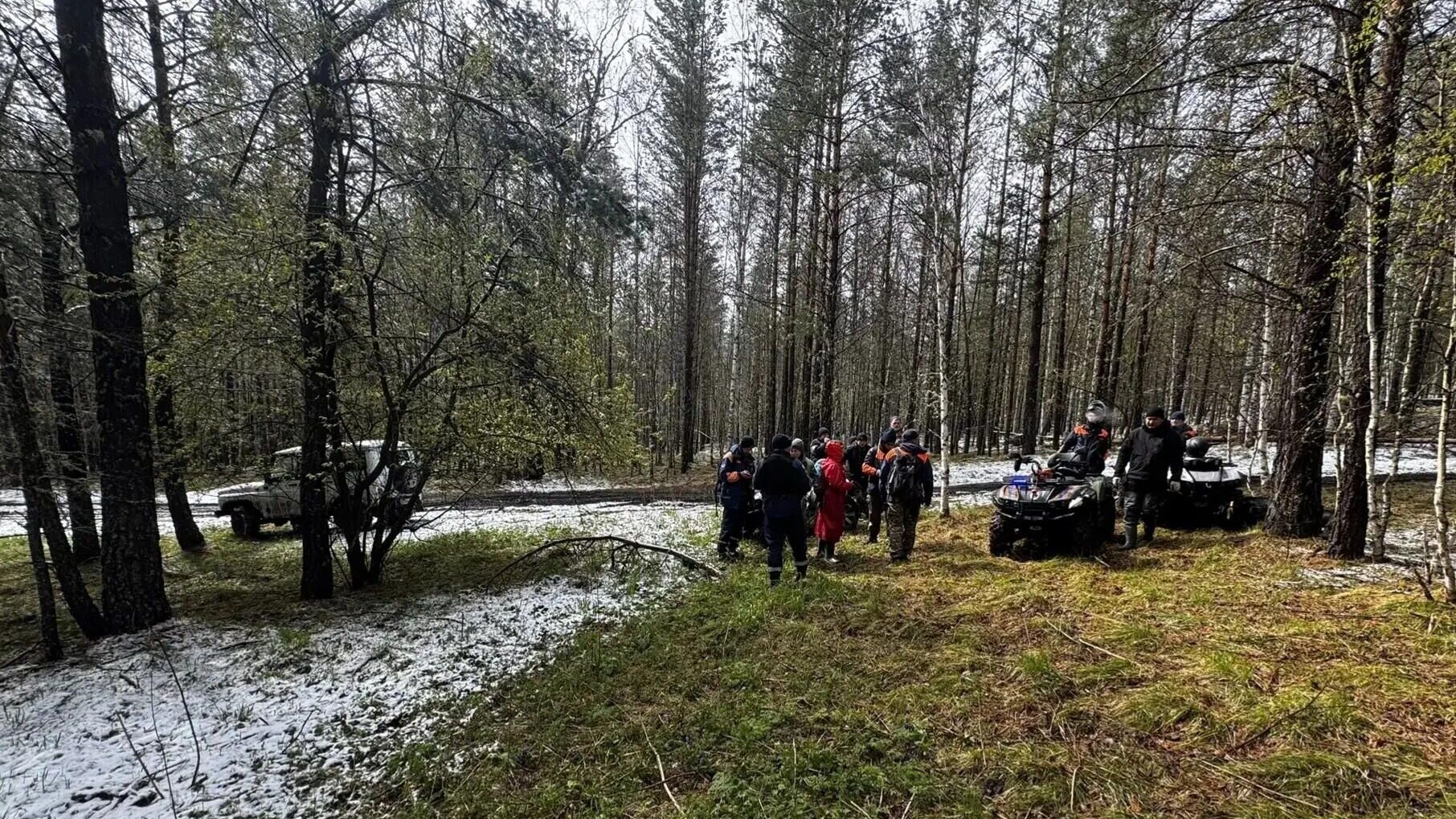 Поиски на месте предполагаемой пропажи семьи Усольцевых