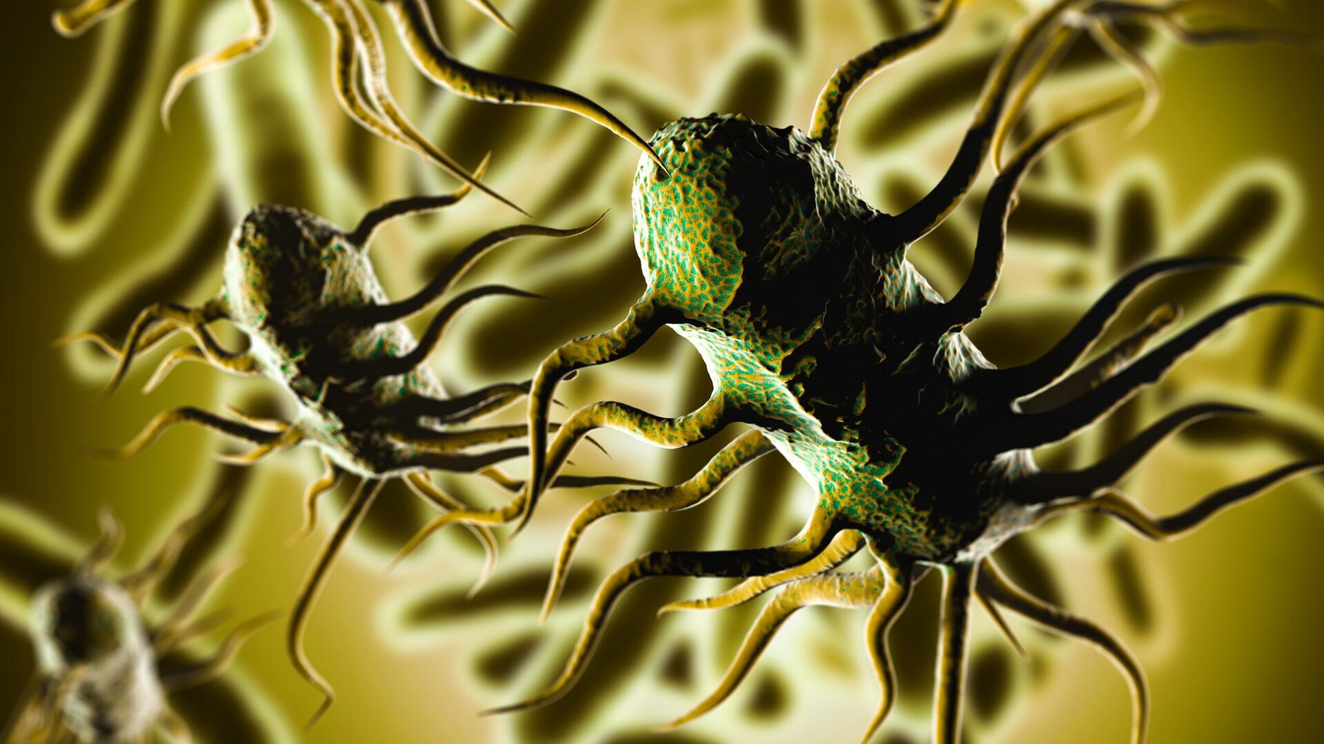 Бактерия Listeria monocytogenes