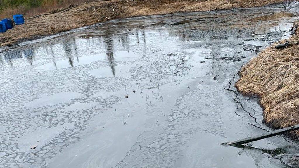 Место разлива нефтесодержащей жидкости в Коми