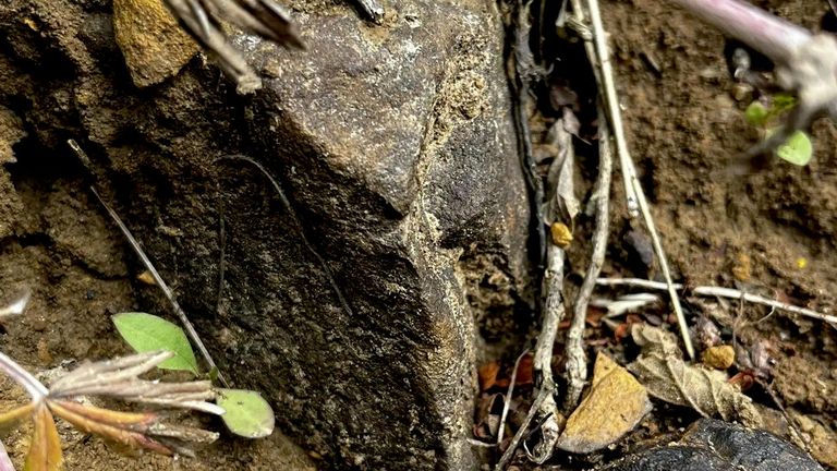 Коренной выход бурого железняка недалеко от Куликова поля, вблизи села Суханово Тульской области