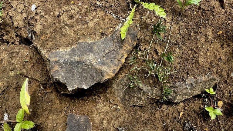 Коренной выход бурого железняка недалеко от Куликова поля, вблизи села Суханово Тульской области