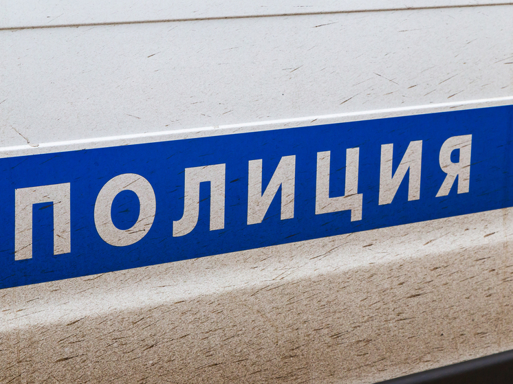 Полицейские задержали серийных угонщиков магазинных тележек