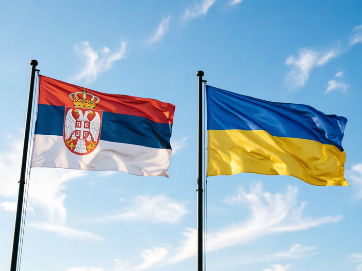 Вучич ответил критикам визита Зеленского в Сербию