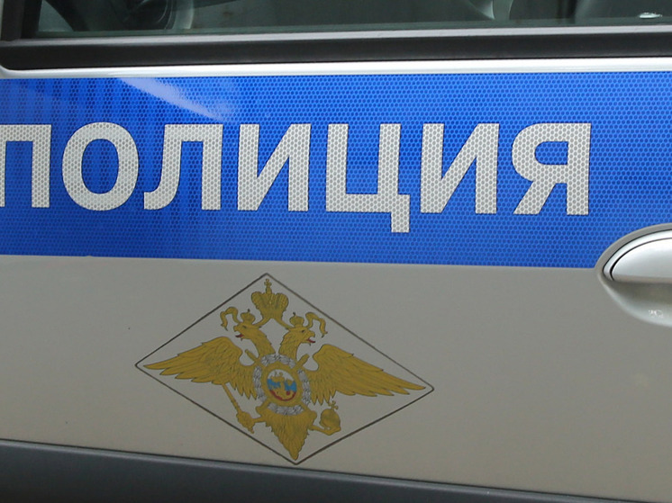 В Новосибирске поезд насмерть сбил подростка: что известно