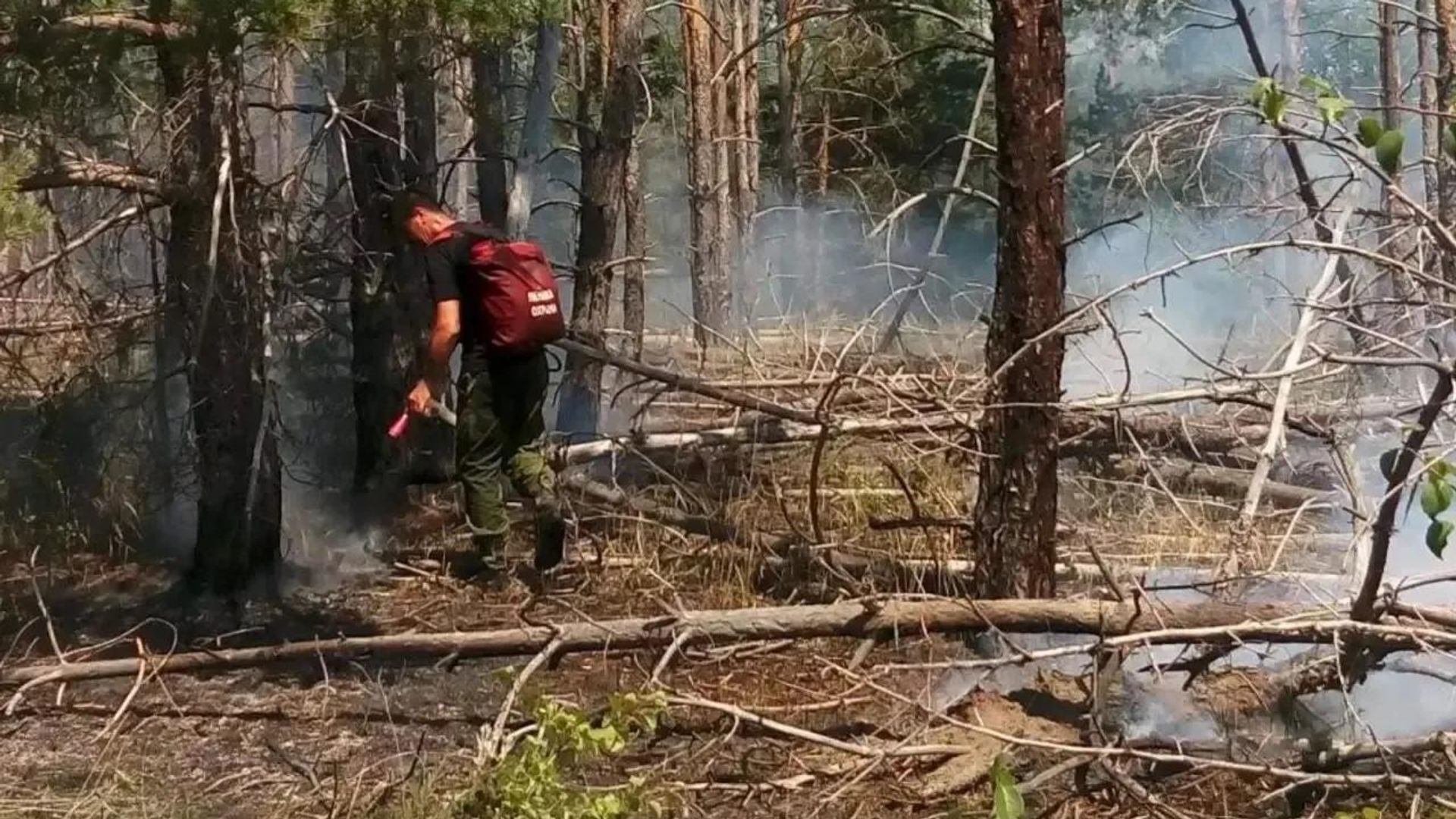 Ликвидация лесного пожара в Цимлянском районе Ростовской области