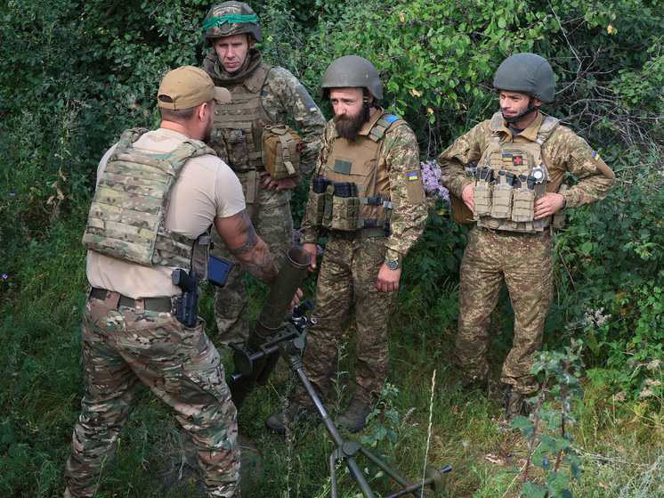 На Украине объявили о создании новой 50-тысячной группировки неонацистов-карателей