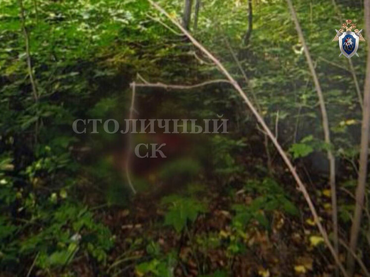Убийца подруги в московском парке за 13 лет стал многодетным отцом