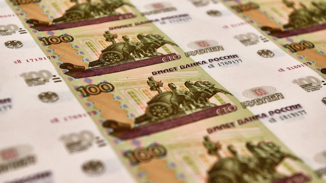 Сенатор Никонорова рассказала об инвестициях бизнеса в экономику ДНР