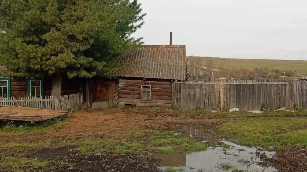 В Красноярском крае медведь убил женщину на приусадебном участке