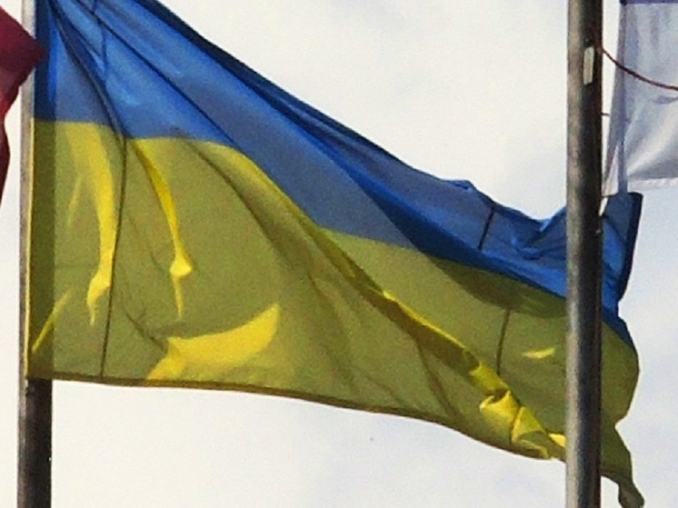 Стало известно о задержании призывавшего к митингам бойца ВСУ