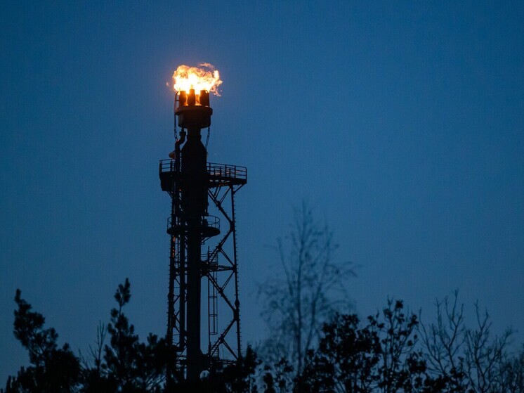 Выплаты нефтяникам  вдвое сократили сырьевые доходы России