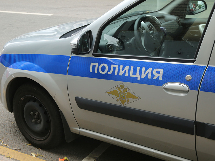 Разоблачена серийная воровка из подмосковного города: крала шуруповерты и велосипеды