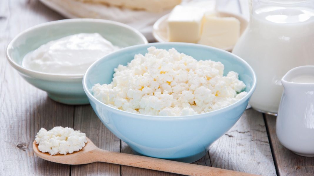 Производство кисломолочной продукции выросло на 1,66 % в Подмосковье