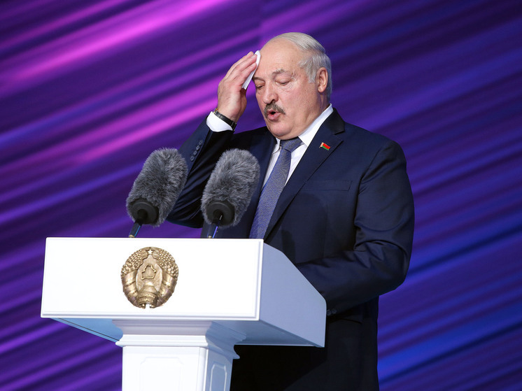 Лукашенко ответил на обвинения в территориальных претензиях к России