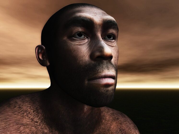Учёные реконструировали лицо древнейшего из известных представителей Homo sapiens
